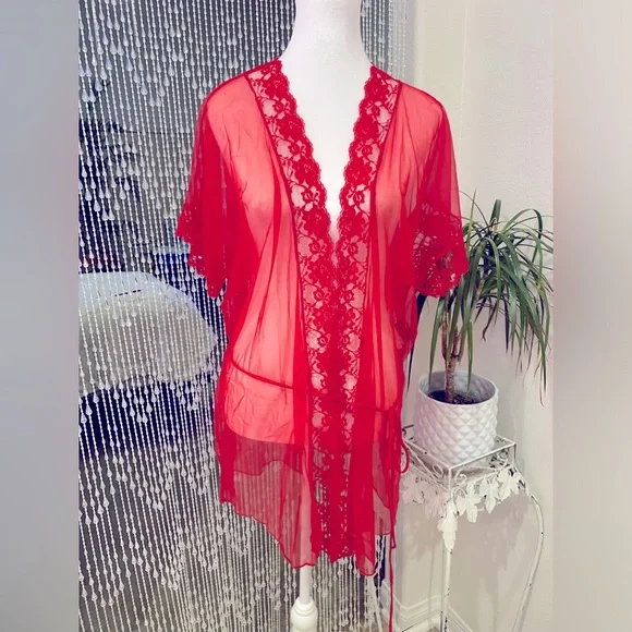 VINTAGE SHEER PEIGNOIR - Picture 6 of 6